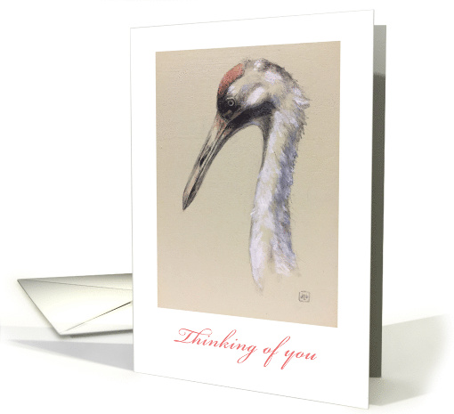 Whooping Crane-fine art - thinking of you card (1473362)