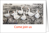 Come join us for coffee-geese card