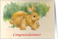 Congratulations-Twins-Bunnines card