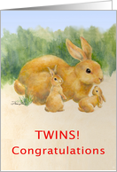 Congratulations-Twins-Bunnines card