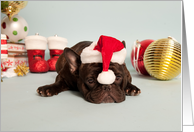 French Bulldog wearing Santa Hat Christmas Card