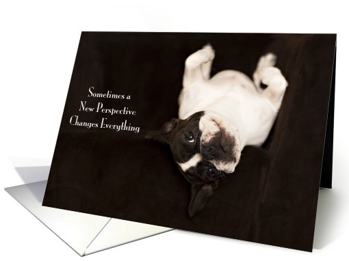Funny French Bulldog Encouragement card (795351)