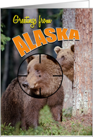 Greetings from Alaska, target of bears in the forest card