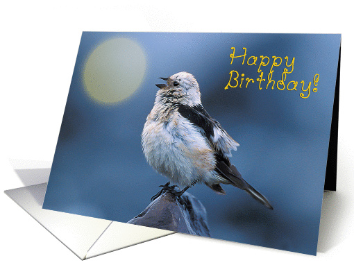 Happy birthday,bird's song sunrise card (1282306)