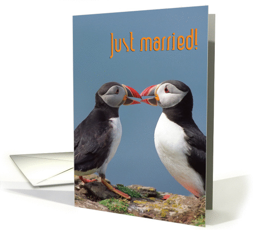 Just married, two funny puffins card (1282330)