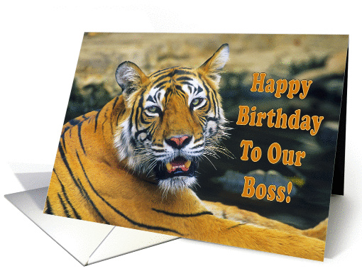 Happy Birthday To Our Boss, portrait Bengal tiger card (1361478)