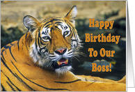 Happy Birthday To Our Boss, portrait Bengal tiger card