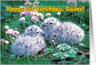 Happy 1st Birthday,Twins , two chicks in grass card