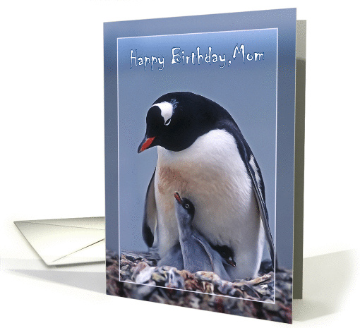 Happy Birthday Mom, Penguin with two chicks card (1364198)