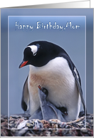 Happy Birthday Mom, Penguin with two chicks card