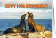 Happy 10th Anniversary, Two funny fur seals card