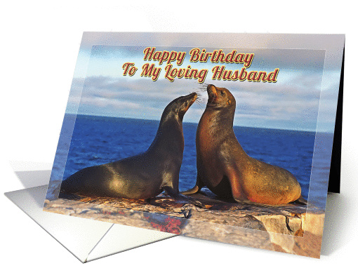Happy Bithday,To My Loving Husband, Two funny fur seals card (1364326)