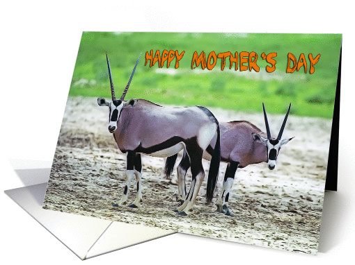 Happy Mother's Day. Orix mother with baby card (1366206)