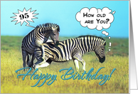 Happy 95th Birthday, Two funny zebras card
