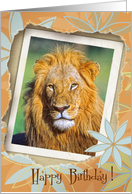 Young lion card