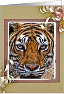 Tiger card