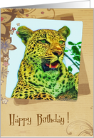 Leopard Card