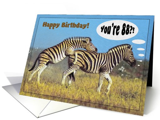 Happy 88th birthday greeting card, Zebras card (617240)