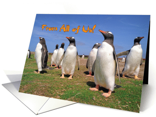 Happy Birthday, Groupe gentoo funny penguins card (868765)