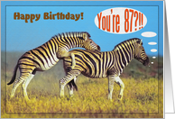 Happy birthday card, Two zebras card