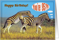 Happy 95th Birthday card,Two playing zebras card