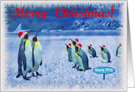 Merry Christmas card, Antarctic colony penguins with red claus hat card