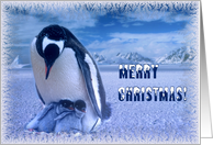 Merry Christmas card, Penguin’s mom with two chicks card