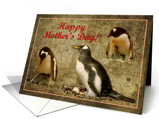 Happy Mother's Day card, Penguins with chick and egg on the nest card