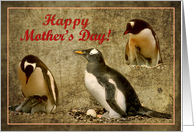 Happy Mother’s Day card, Penguins with chick and egg on the nest card