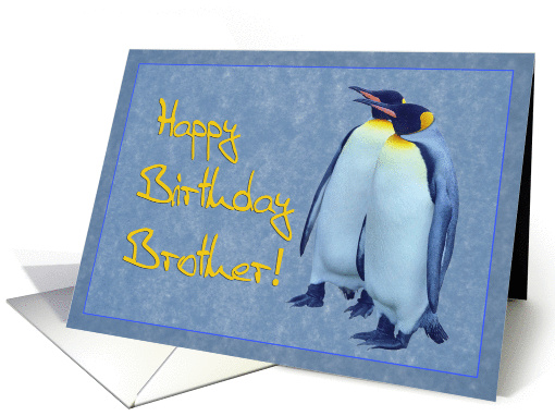 Happy birthday brother card, two penguins card (877246)