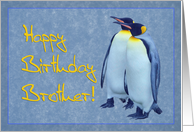 Happy birthday brother card, two penguins card