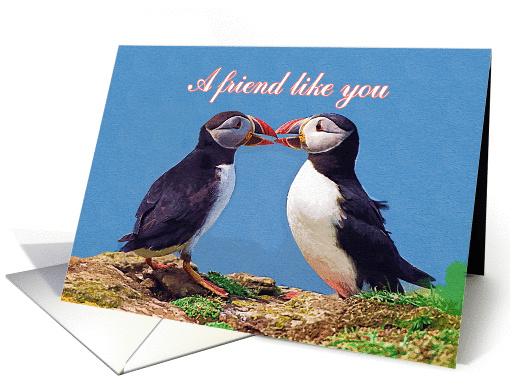 Friendship greeting card, two funny puffins card (887591)
