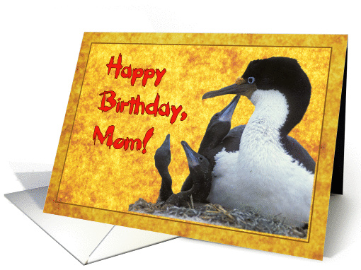 Happy birthday mom greeting card, bird with three chicks card (888351)