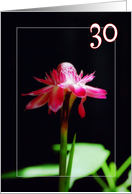 Happy 30th birthday greeting card, tropical orchid flower card