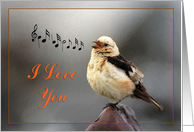 I love you greeting card,bird spring song card