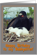 Happy birthday to my babysitter greeting card, Magnificent Frigatebird with chick card