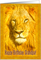 Happy Birthday Grandfather greeting card, Portrait male lion card