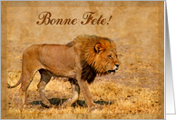 Happy Birthday french language greeting card, mail lion card