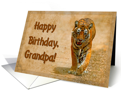 Happy Birthday Grandpa greeting card, tiger in savannah card (891918)