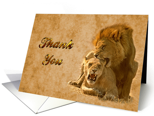 Thank you greeting card,Lions in love card (898570)