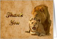 Thank you greeting card,Lions in love card