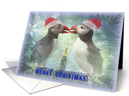 Merry Christmas greeting card,two funny puffins card (954713)