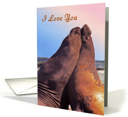 I Love You, Two Fur Seals in Love, Blank Note card (958377)