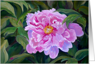 Blooming Pink Peony Birthday for Sweetheart card