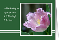 Friendship is Refreshing-Thinking of you, friend-tulip after the rain card