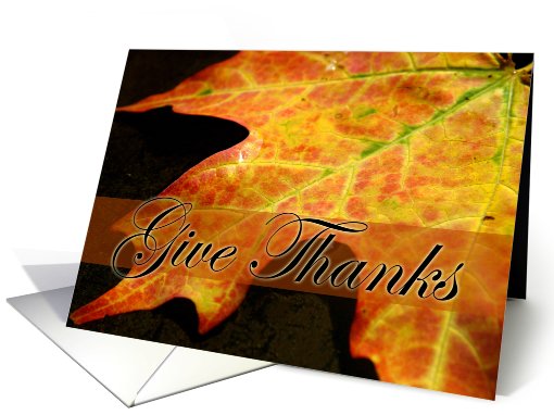 Give thanks-fall leaf, thanksgiving card (628028)