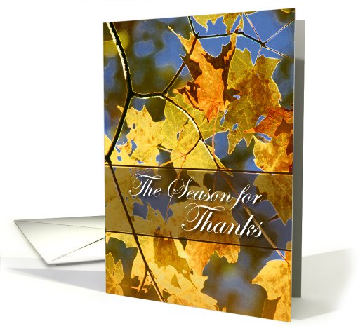 The Season for Thanks-Happy Thanksgiving-fall leaves card (628050)