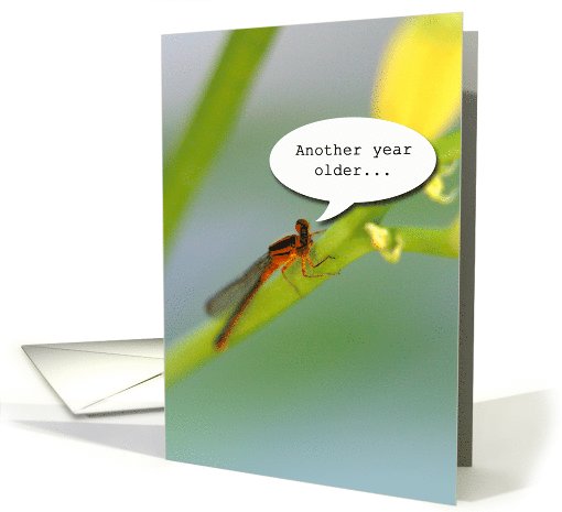 Another Year Older--Don't let it bug you! Dragonfly card (721468)