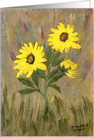 Yellow flowers, blank note card