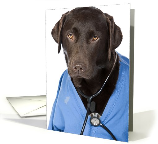 Get Well Soon with Dr Labrador card (625826)